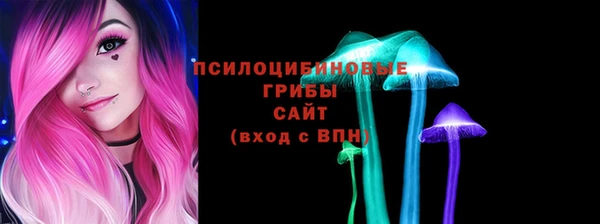 spice Алзамай