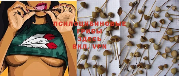 метадон Алексин