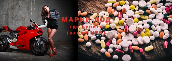 spice Алзамай