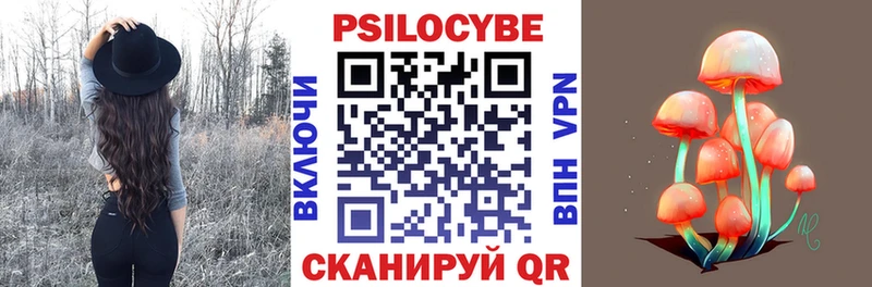 Галлюциногенные грибы Psilocybine cubensis  Закаменск 