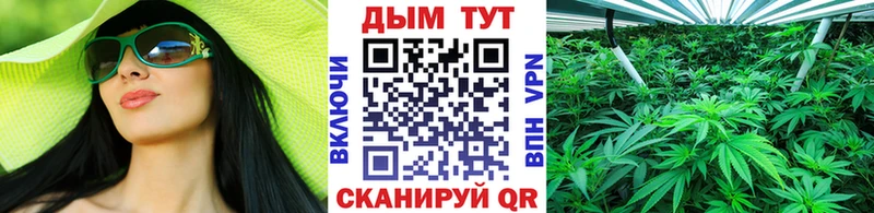 Шишки марихуана OG Kush  Закаменск 
